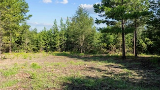 9443 Mistletoe Rd Unit Lot 11, Gilmer, TX 75644