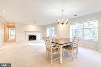 4500 Chaucer Way Unit 202, Owings Mills, MD 21117