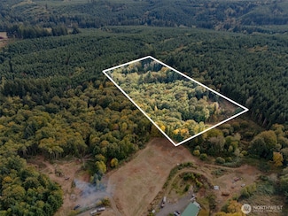 251 62 Crego Hill Rd, Chehalis, WA 98532