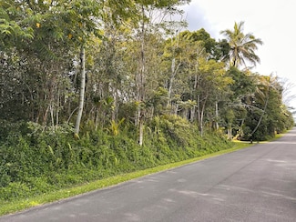0 Kupono St Unit 720373, Pahoa, HI 96778