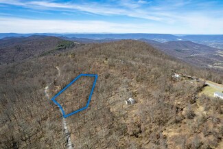 Lots A30 & A31 Cherry Tree Ln, Stanley, VA 22851
