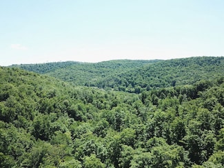 0 Swartz Rd Unit LotWP001 19392979, Hector Township, PA 16948