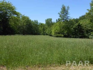 1028 Plum Cir, Varna, IL 61375