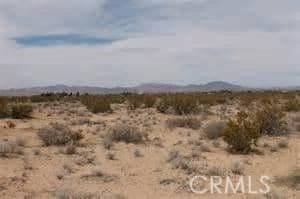 0 Vac Vic Avenue V4 258 Ste Unit CV20246177, Llano, CA 93591