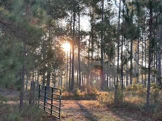 0 N Old Reidsville Rd Unit 25497948, Swainsboro, GA 30401