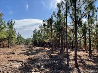 15243 Watermelon Rd, Tuscaloosa, AL 35406