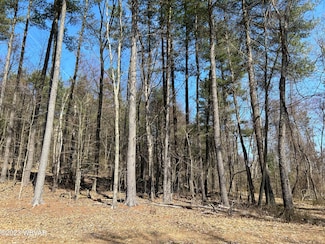 0 Tallman Hollow Rd Unit LOT 4 WB-96971, Upper Fairfield Township, PA 17754
