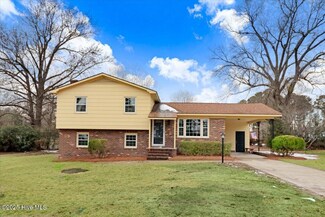 100 Scott Dr, Dudley, NC 28333
