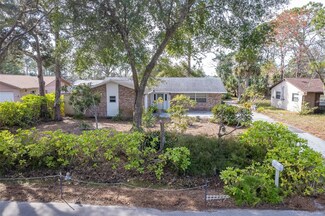 3120 Pine Tree Dr, Edgewater, FL 32141