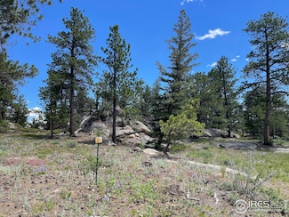 3020 Lake Arapahoe Ct, Red Feather Lakes, CO 80545