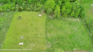 0 E Ridge Rd Unit 288385, Elsie, MI 48831