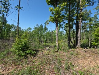 0 Cr 3485, New Site, MS 38859