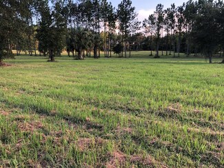 17610 W Hey 318 Unit 1, Reddick, FL 32686