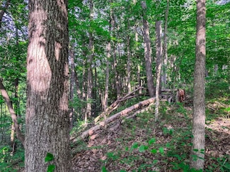 0 Leatherbark Rd Unit Lot WP001, Smithville, WV 26178