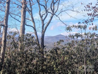 TBD Top Oaks Ln, Pisgah Forest, NC 28768