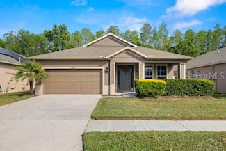 19528 Sunset Bay Dr, Land O Lakes, FL 34638