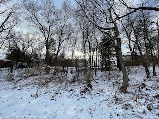 0000 Dibrova Dr, Brighton, MI 48116