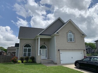 940 Nectar, Adams, TN 37010