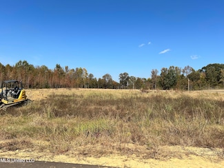 22 Hazelwood Dr, Lake Cormorant, MS 38641