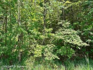 VL Pinconning Rd, Billings Township, MI 48612