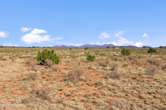 1118 E Vernon Rd, Valle, AZ 86046