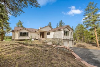 50 Lichen Ln, Dillon, CO 80435