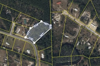 6913 Greenfield Rd, Blackshear, GA 31516