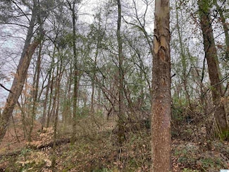 1 Bud Weaver Rd, Hartselle, AL 35640