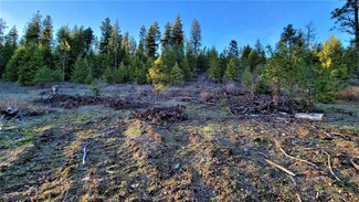 Lot 19 Misty Ridge Ln, Newport, WA 99156