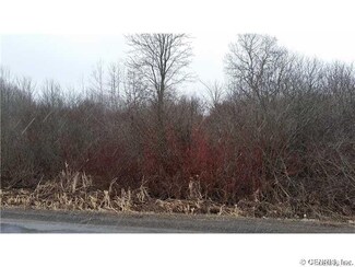 00 Buck Rd, Warsaw, NY 14569