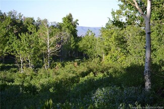926 W Deep Forest Rd, Wanship, UT 84017