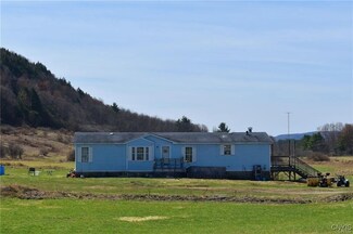 218 County Highway 22, West Winfield, NY 13491