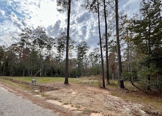 13619 Crabapple Ln, Franklinton, LA 70438