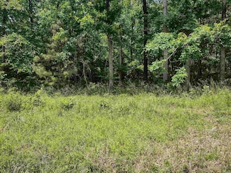 Lot 1641 Midpines Ct, Hot Springs, AR 71913