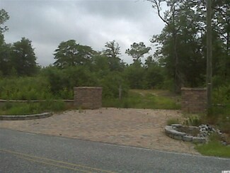 891 Pee Dee Island Rd, Nichols, SC 29581