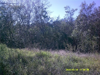0 S Boggy Marsh Rd, Clermont, FL 34714