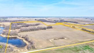 158 ACRES 170th Street Parcels, Letts, IA 52754