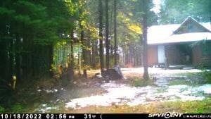 00 S Hendrie River Rd, Hulbert Township, MI 49748