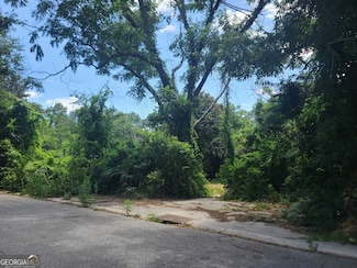 4187 Buena Vista Ave, Macon, GA 31206