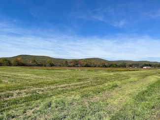 0 Chambers Rd Unit LotWP001 15962751, Big Flats, NY 14814
