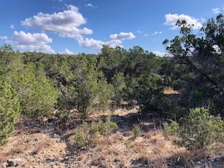 300 Onion Creek Ln, Blanco, TX 78606