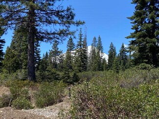 4-E-3 Echo Way Unit 4, McCloud, CA 96057