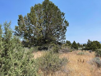 0 Drews Rd Unit TL 34 220183491, Chiloquin, OR 97639