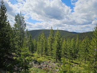 5212 Slide Rock Mountain Rd, Philipsburg, MT 59858
