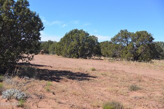 4199 E Pinto Rd, Snowflake, AZ 85937