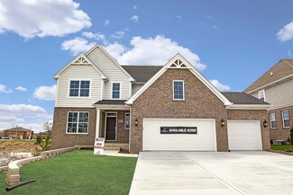 10001 El Cameno Real Dr, Orland Park, IL 60462