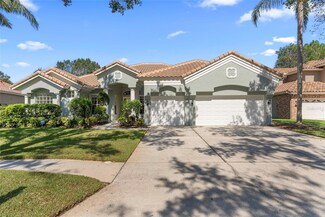 17724 Grey Eagle Rd, Tampa, FL 33647