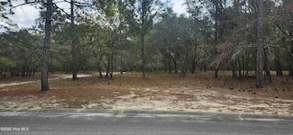3611 Concordia Ave SW, Supply, NC 28462