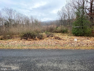 2095 Trout Run Rd, Wardensville, WV 26851