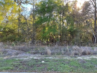 9262 N Pineview Way, Citrus Springs, FL 34434